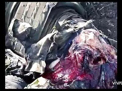 ILLEGAL IMMIGRANTS PUNISHED HARD(COMPILATION)