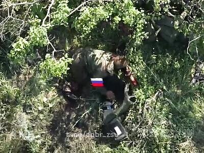 Minced Russian commies (Happy ending)