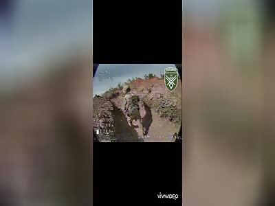 BORDER DRONES KILLING CRIMINALS 