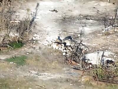 Shredded Zigger In Rags