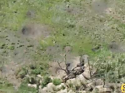 Playing Footsie With Drones Is Bad Idea