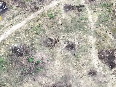 Hunted Zigger Send Curious Smoke Signal