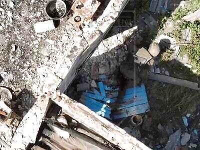 Summer holidays in Ukraine