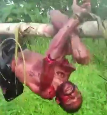 [THE CATCH OF THE DAY] BUTCHERED AND STILL ALIVE