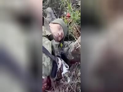 Obtuse Zigger Finds Situation Boring