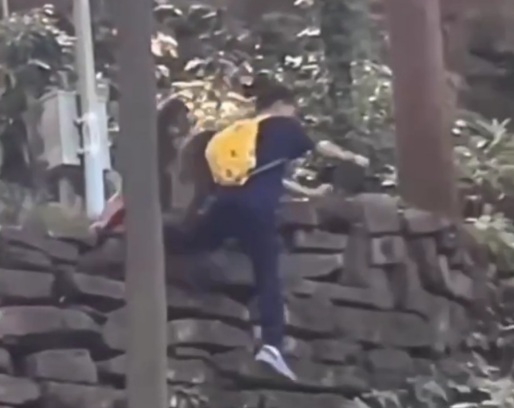 Monkeys attack little boy in Chinese temple 
