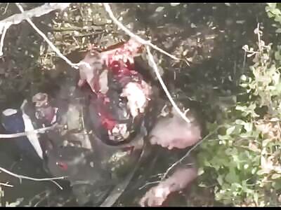 Ukraine Death Comp LXVIII