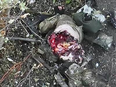 ???? Footage from 47 separate mechanized brigades 