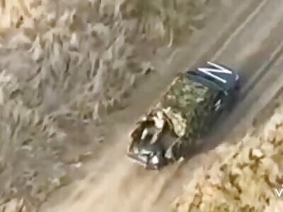 COMRADE LOOSING BODIES 