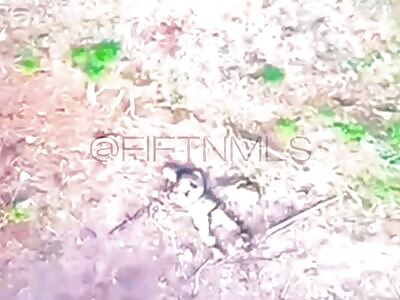 Praying and asking for forgiveness didn't help much.