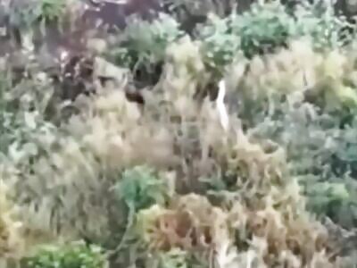 Another Russian made the right decision