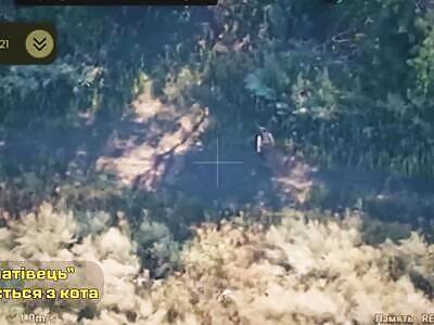 Instant karma for the Russian knacker