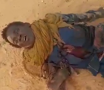 Janjaouid militia killed by sudanian army 