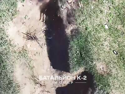 Cowering Trench Zigger Gets Wrecked