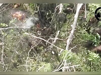 Some dead commies after failed attack