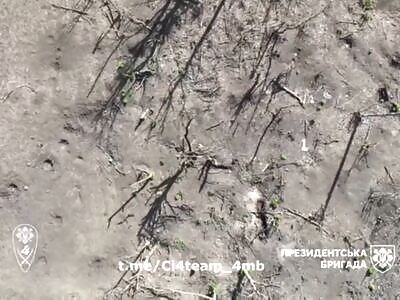 The orc's head was torn off