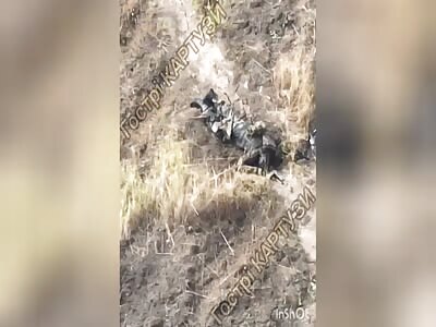 Dead Russian garbage near Kharkiv