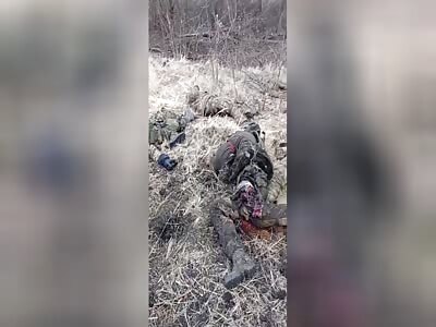 5 dead Russians after a tripwire explosion