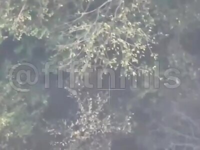 Ukrainian commits suicide