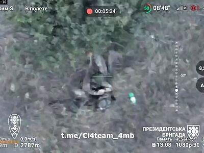 DAMN: A Drone Beheading.