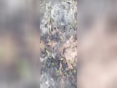 Result Of Ukrainian Dragon Fire Drone