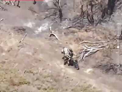 The Latest Development in the Evacuation