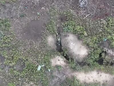 Ukrainian Pack-Hunter Drones Find Quarry