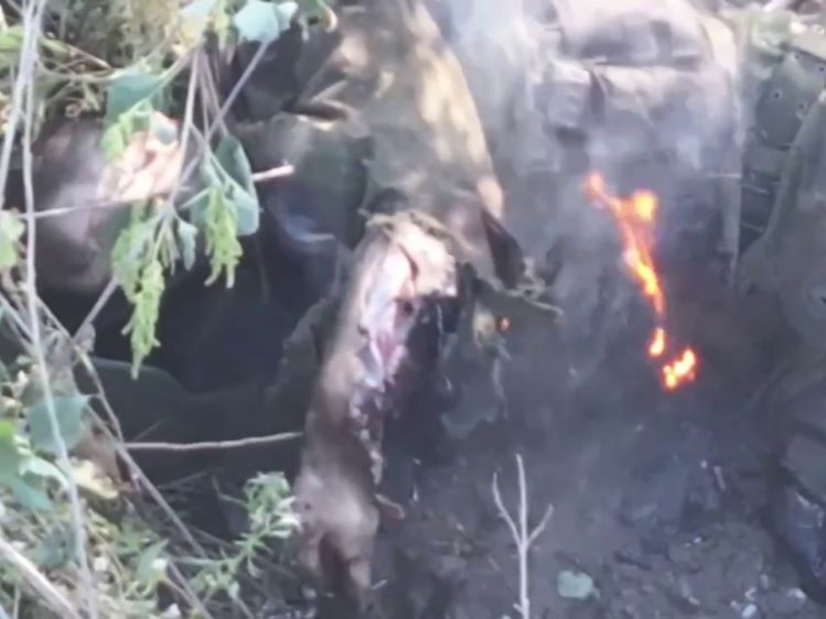 An Orgy of Orch Gore—Shredded Limbs Compilation