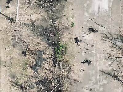 DAMN: Hundreds of Russian bodies are scattered on the ground