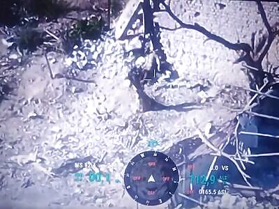 Inexplicable Things Happening At Zigger Ruins