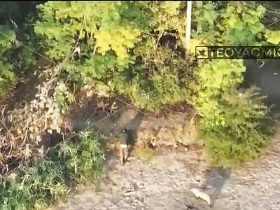 US Biolabs In Ukraine Deploy Combat Pigs