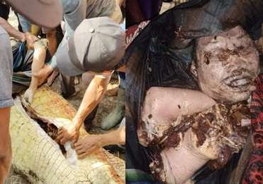 Man In Rohil Riau Dies By Crocodile While Fishing