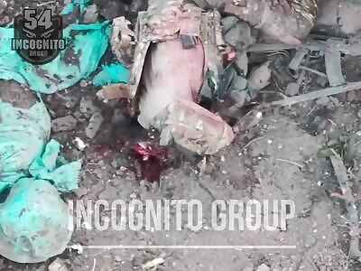 Zigger fell asleep with his head and woke up without it