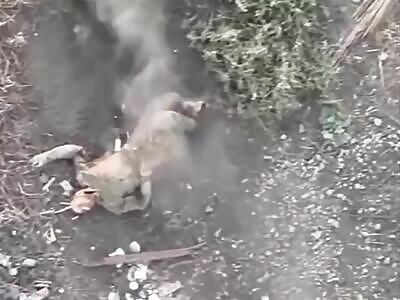 Sparkles The Flaming Zigger