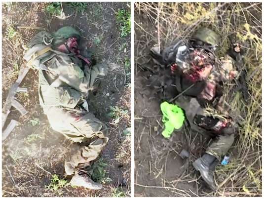 Thursday Special—Slashed and Minced Compilation