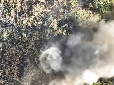 Zigger Taps Out Quick