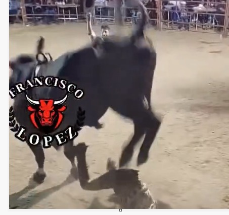 damned bullfighter met a horrible death