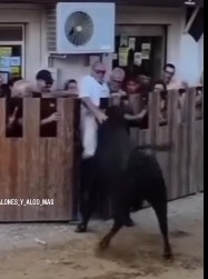 brutal bull attacks compilation