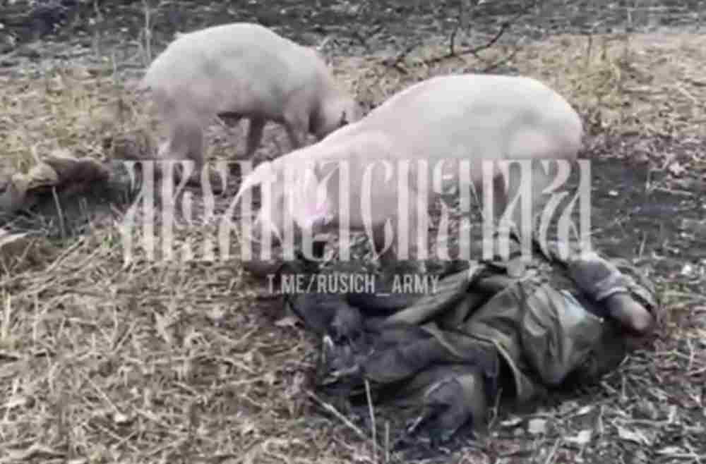 Opornik eating corpses of 2 Ukrainian heroes.