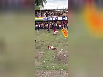 Man dies from blow to the head caused by a bull in Colombia