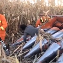 Farming Life [Compilation]