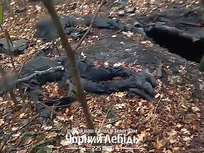 7 dead Russians in Kursk