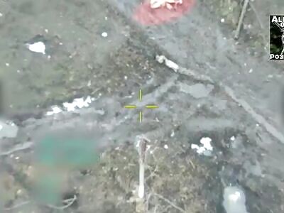 Ukrainian marines clear Kursk from Russians