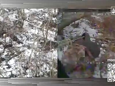 Rubaka UAV unit eliminates the Russians. Compilation 2024.