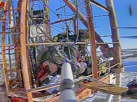 Dude Stuck in Radio Tower Is Ripped to Shreds