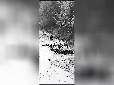 RU POV: Kursk fields are strewn with Russian and Korean corpses