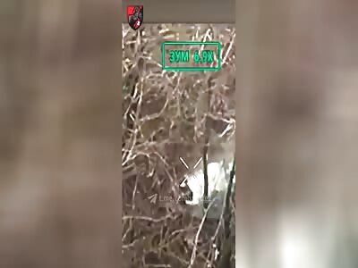 Slow roasted Russian.