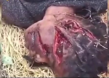 [Part 2]Massacre committed by paramilitary group in Niger 