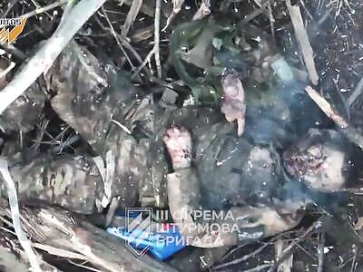 Just retribution for Russian fascists