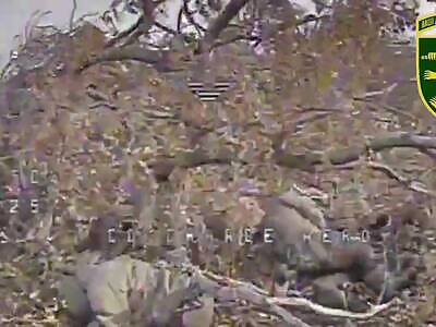 Slaughtering Russians with drones.